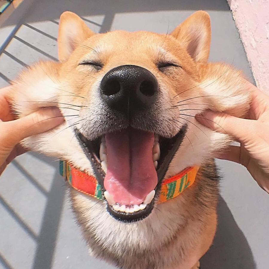 宅竹