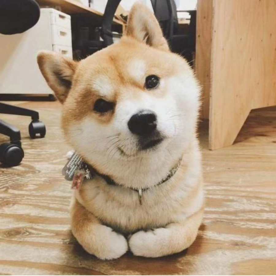 嘤嘤嘤