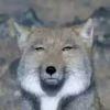 (ˉ▽￣～) 切~~