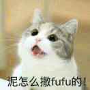 渊渟