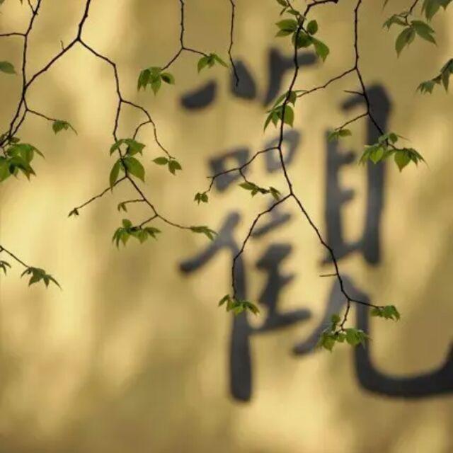 昊天孔昭