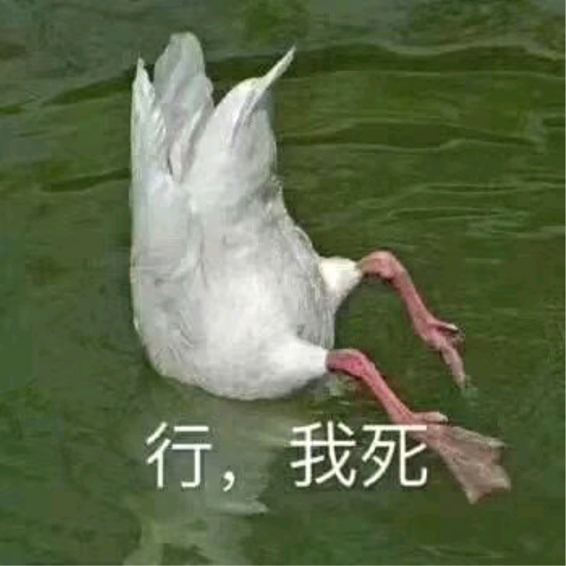 可爱本爱