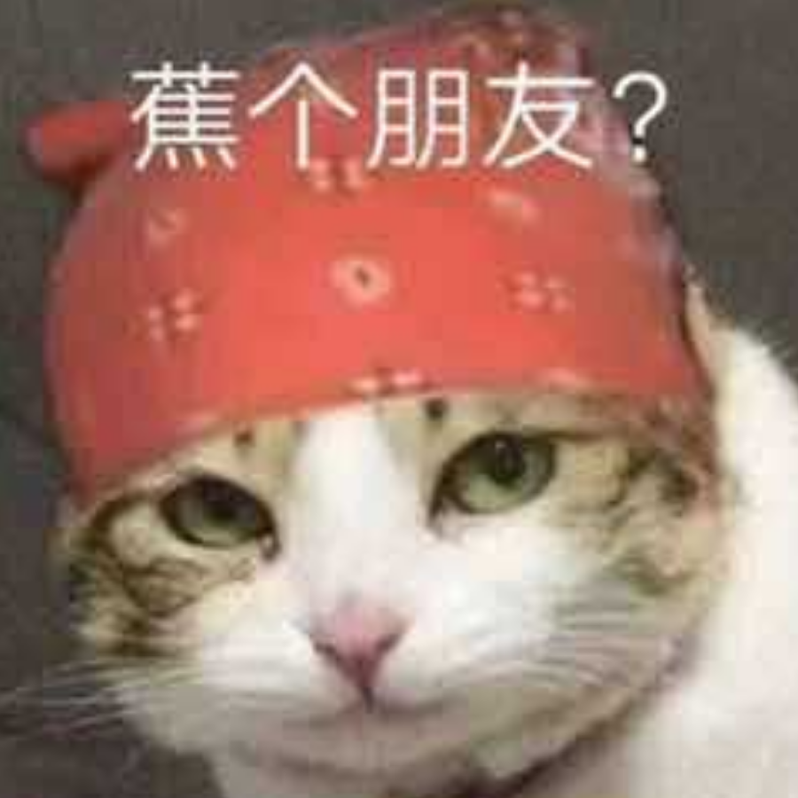 梦游ZHE