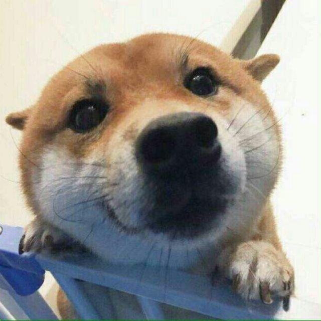 还是懒得用
