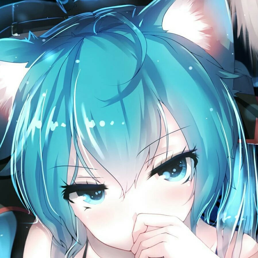武迪
