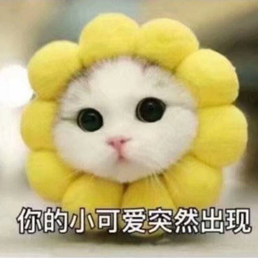 荼荼