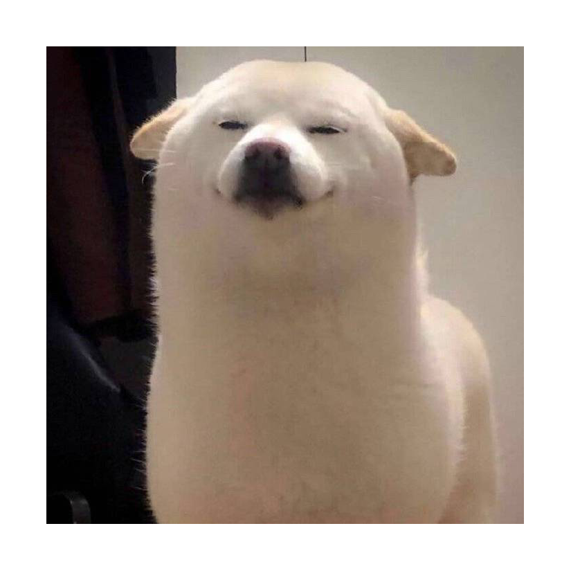 吔湖湖