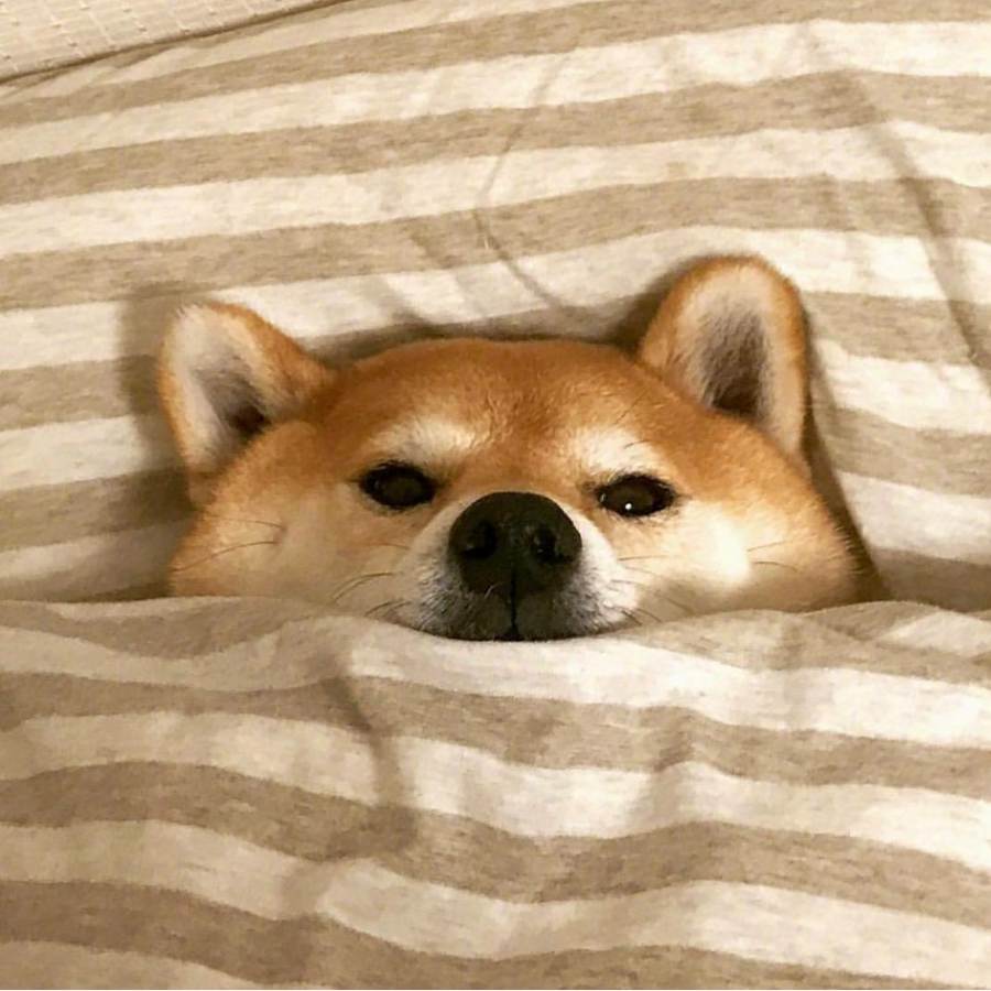 长安