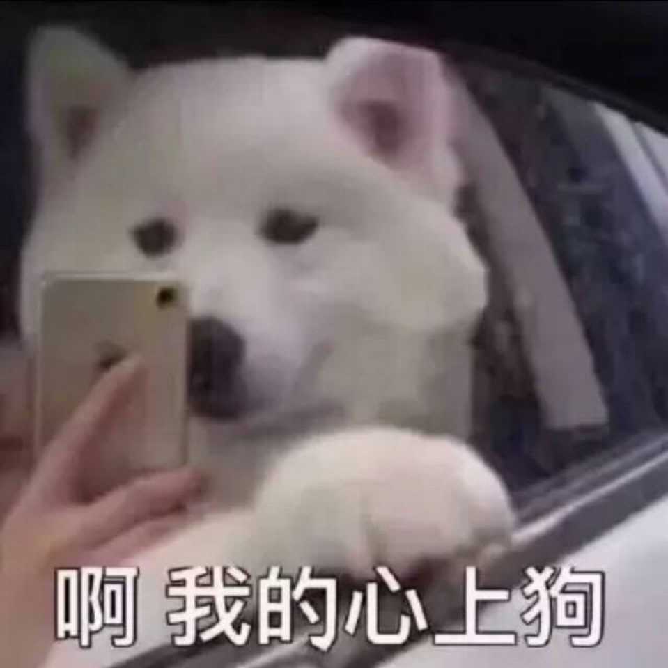 轰
