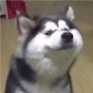 ^O^