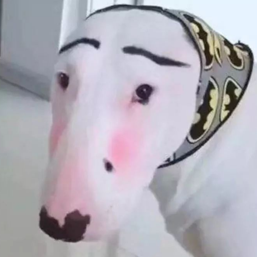 朱卷卷