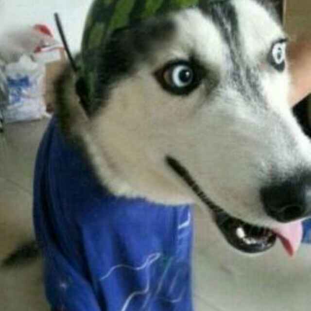 暴露狂