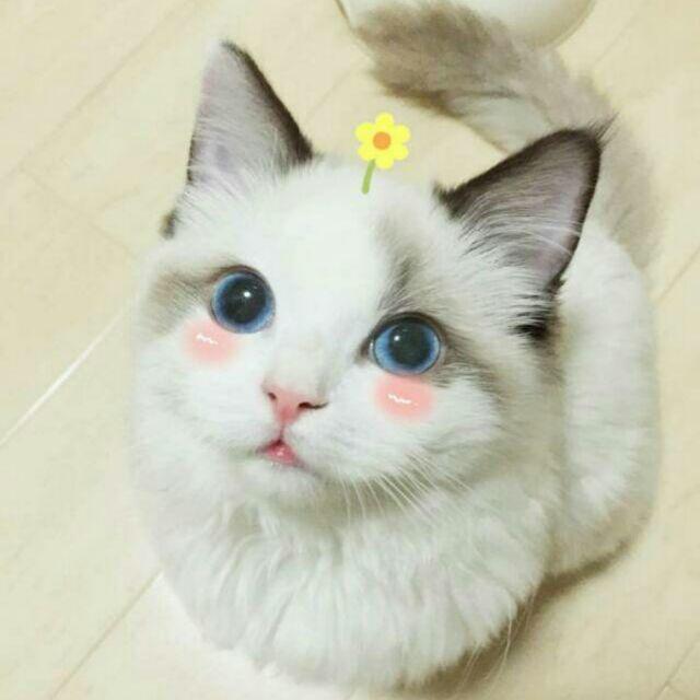 牧子mmmmy