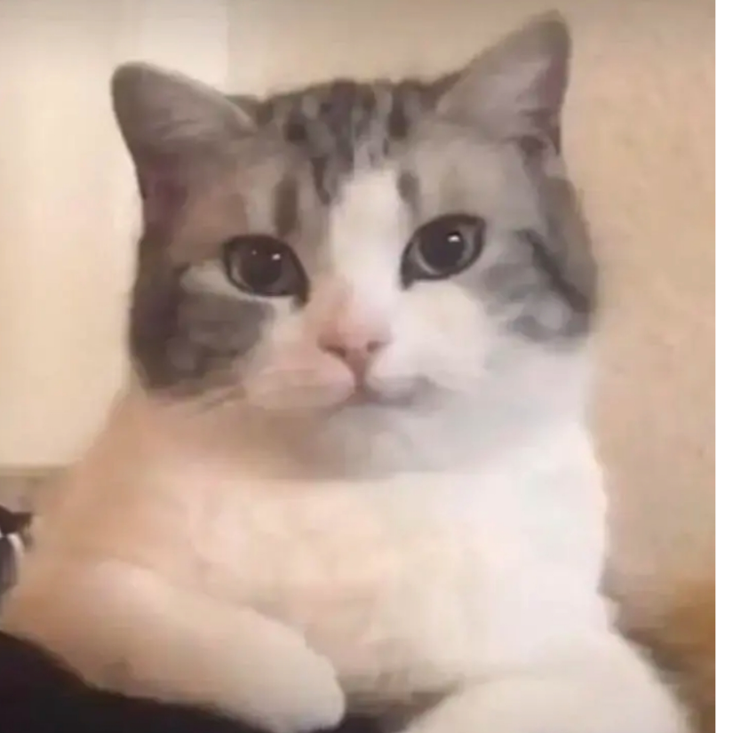 凉森