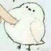 含灼