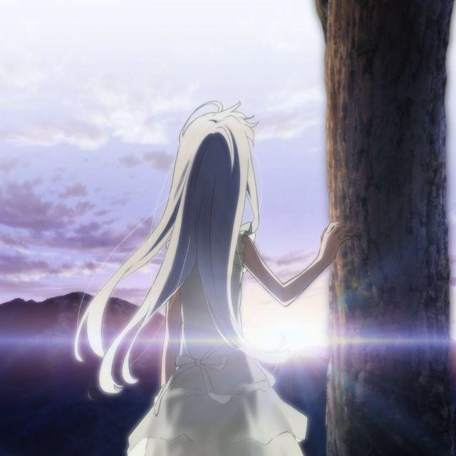 红枫尽染