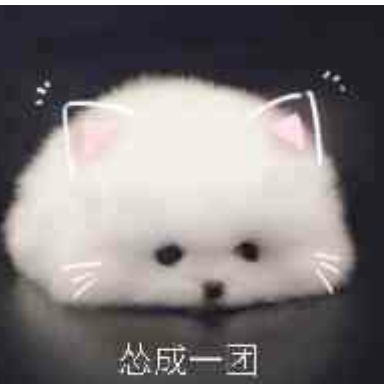 霁皿