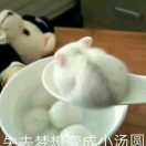 治疗神经病的小仙女