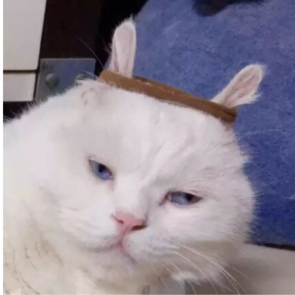千玛w