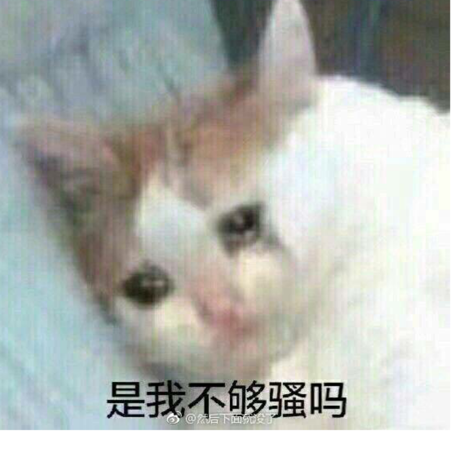 梦想天生✘