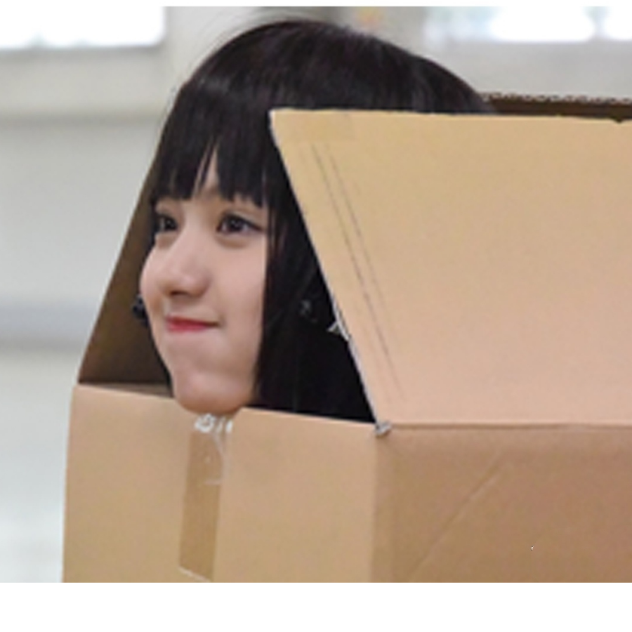 靖