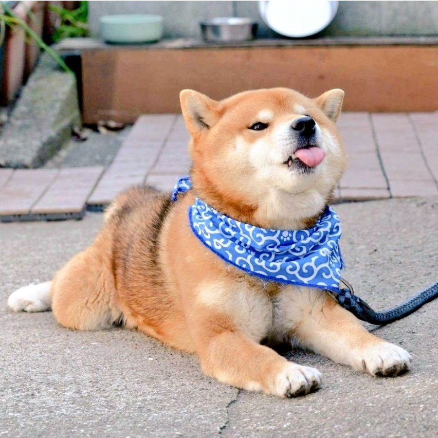 波干