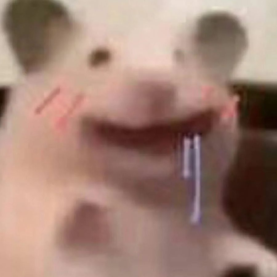 嬴小政