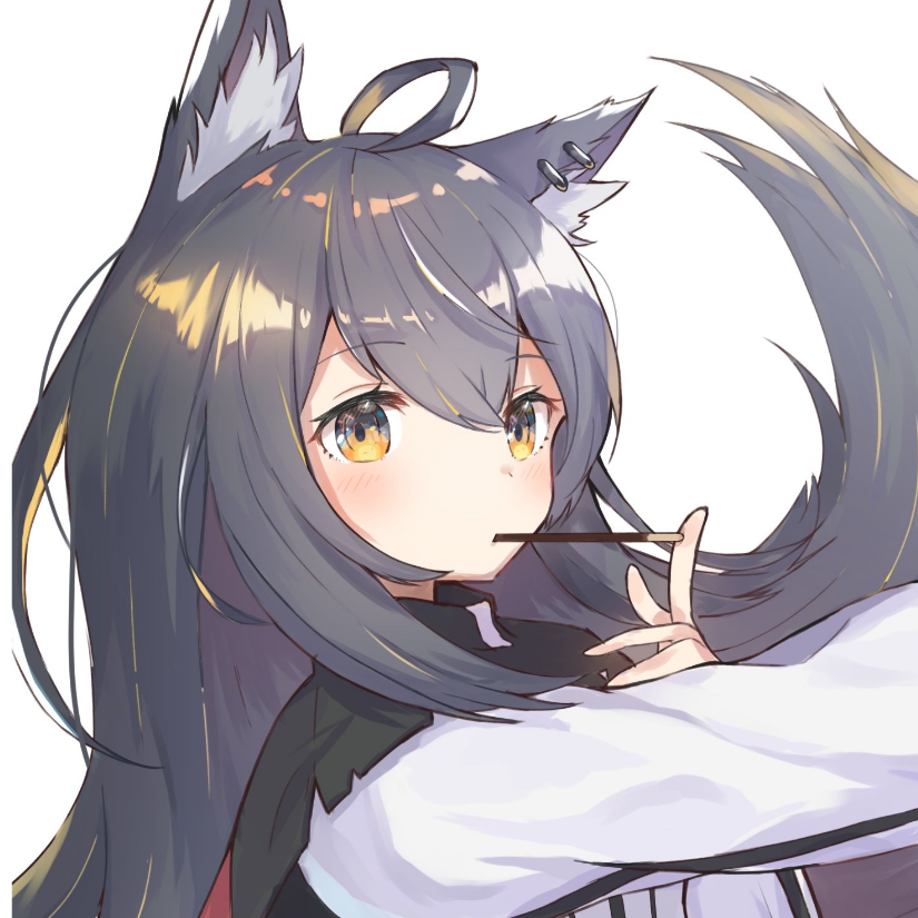 新星缘梦