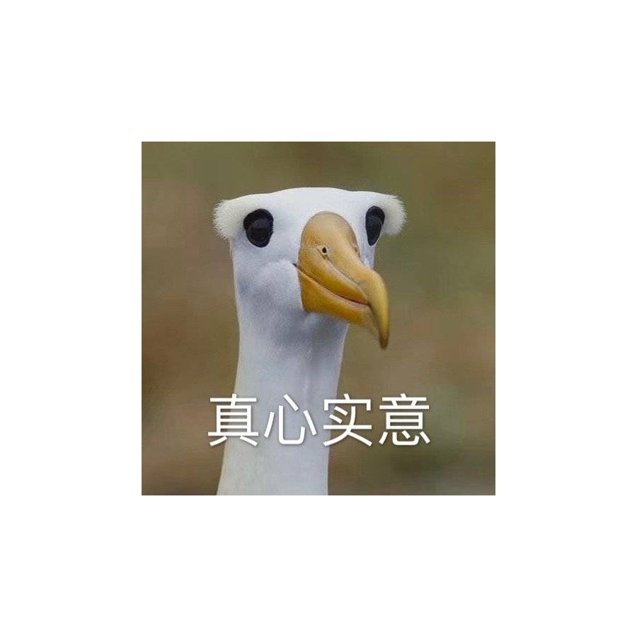 一束月