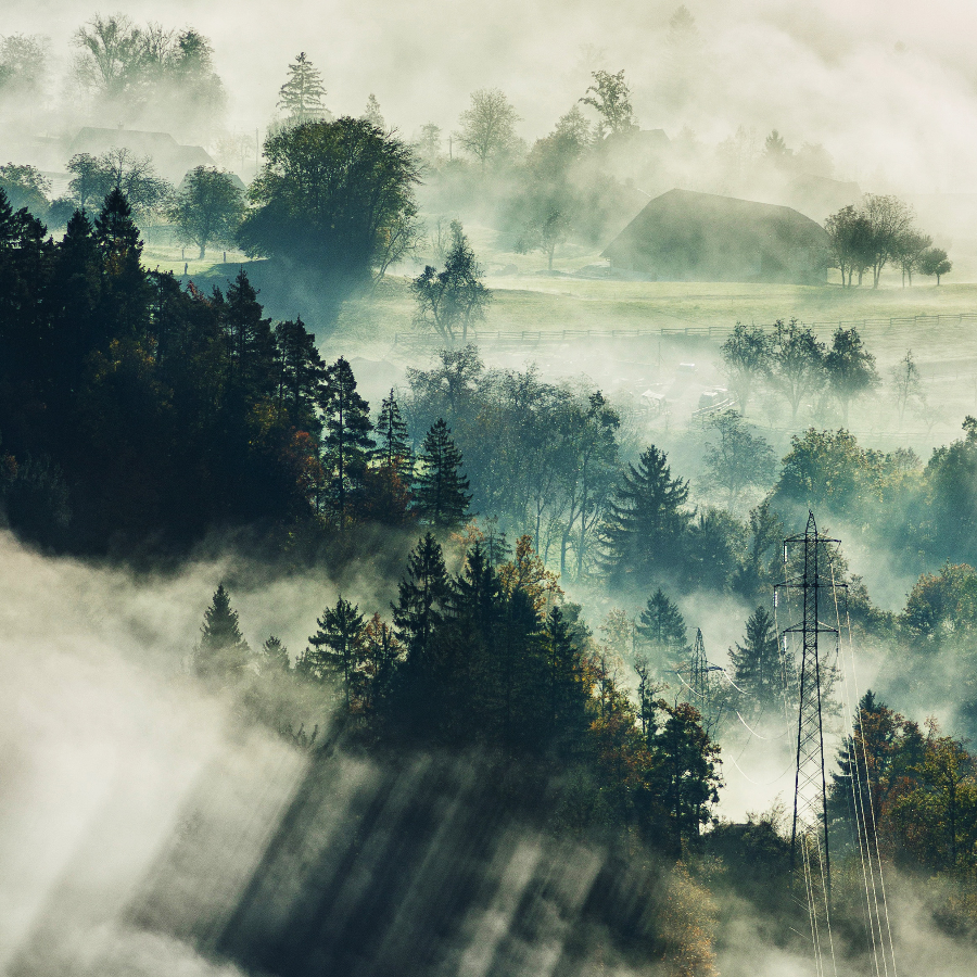 黎塞留你黎不黎姐