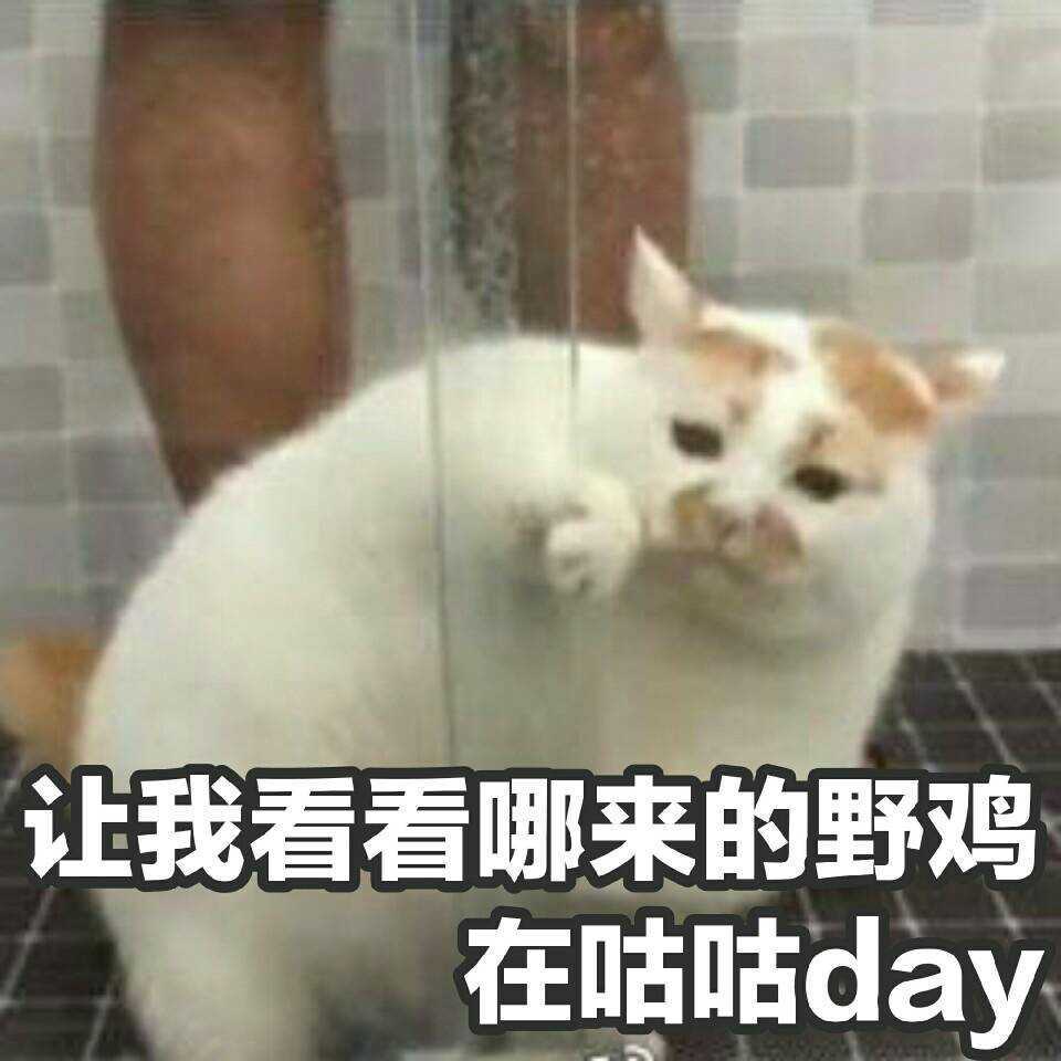 漫灯儿ererer