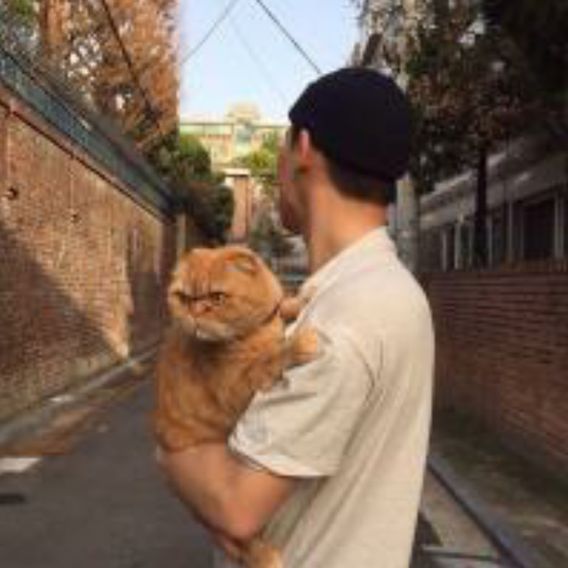 猫巷狗人