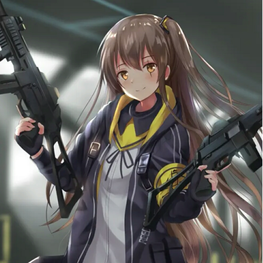 M14EBR酱のUMP45