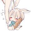 渡清浅
