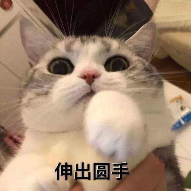 可爱的名字