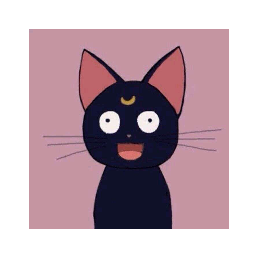 阿鱼