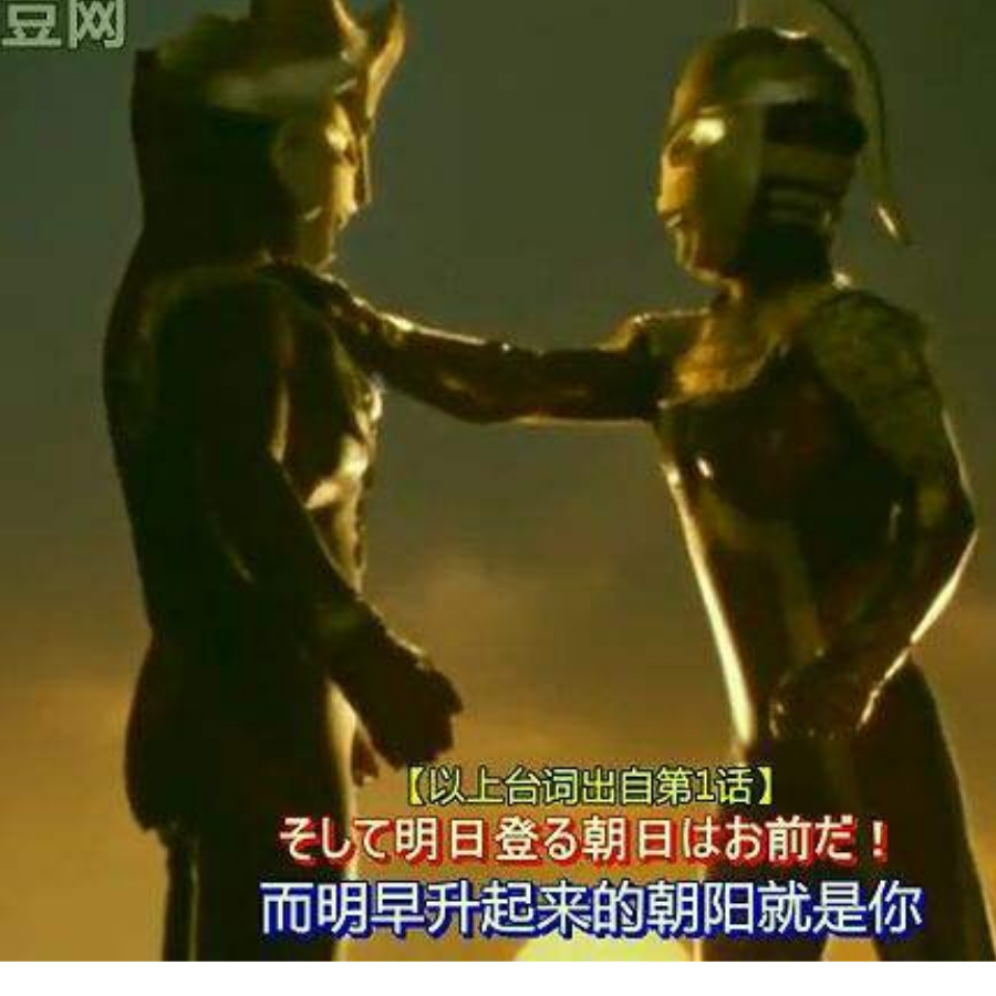 神迪