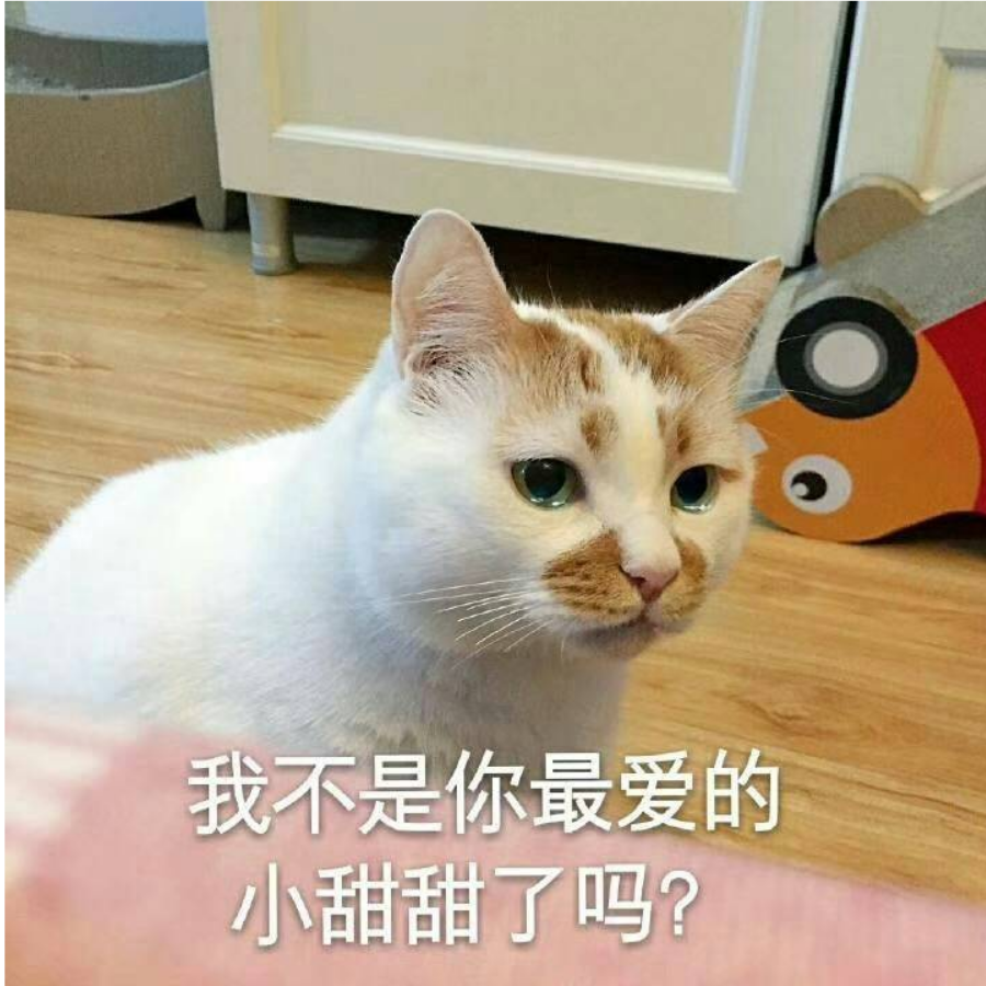 肝嗷嗷