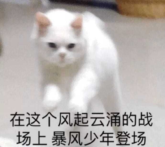 如果折断双翼