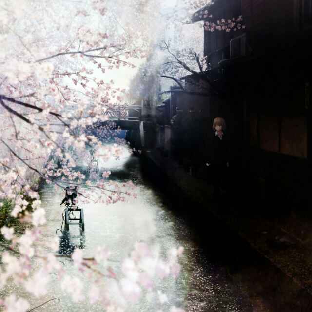 张s