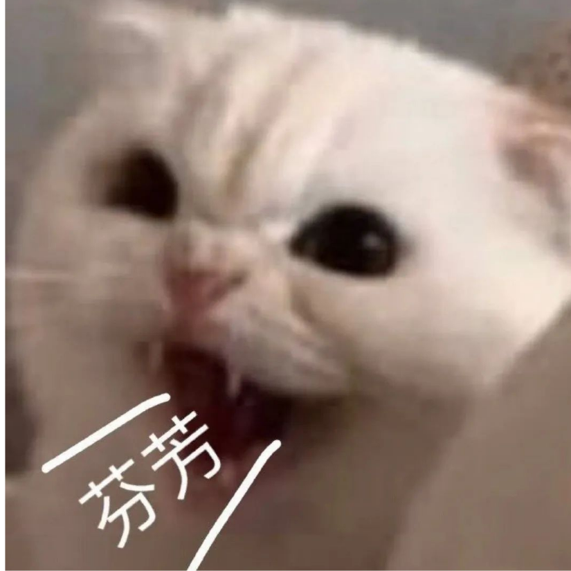 如若初见