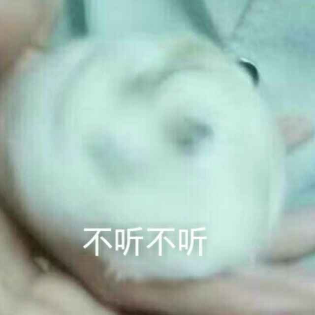 李不白