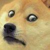 狗大哥