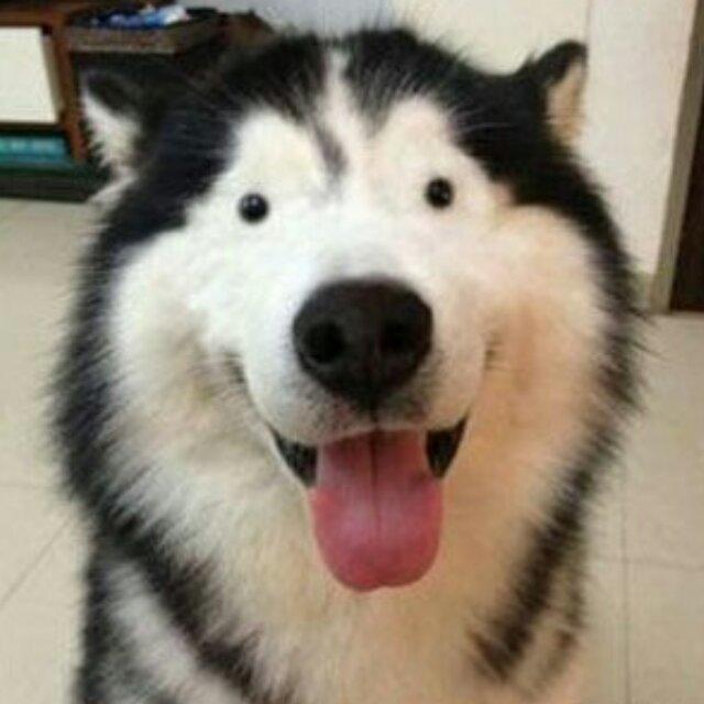 马丁