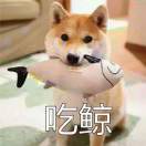 海边丶