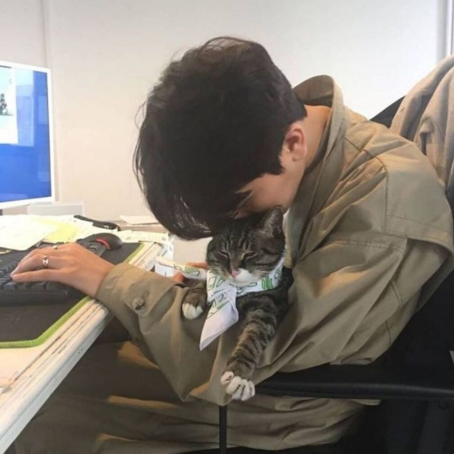 闭关.(,,•́ . •̀,,