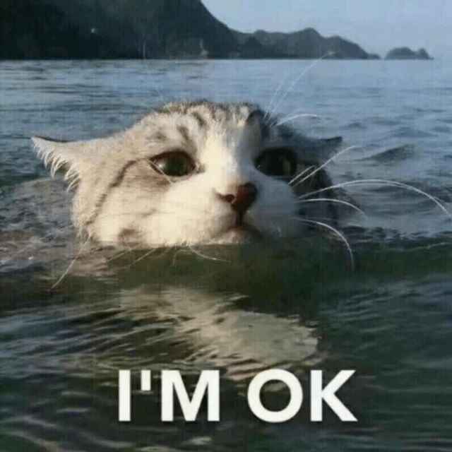 看我