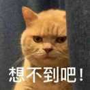 南篱旧事i