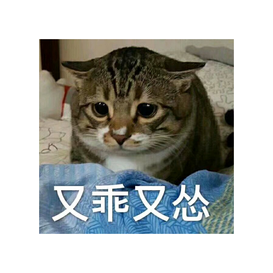 切