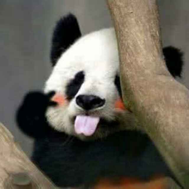 沐秋